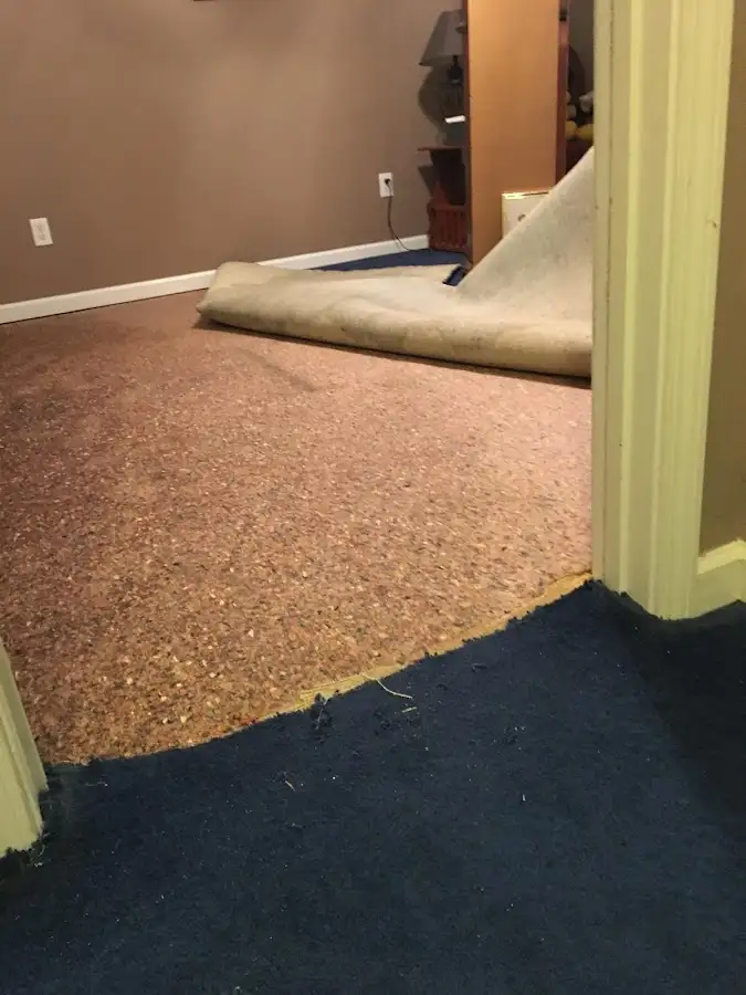 Carpet pad removal revealing water damage during Water Mitigation Services in Braintree Town