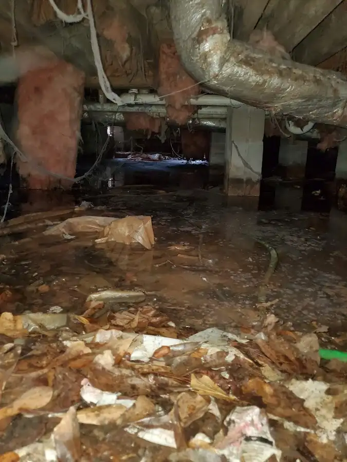 Crawl space flood assessment for Commercial Water Damage Restoration in Braintree Town