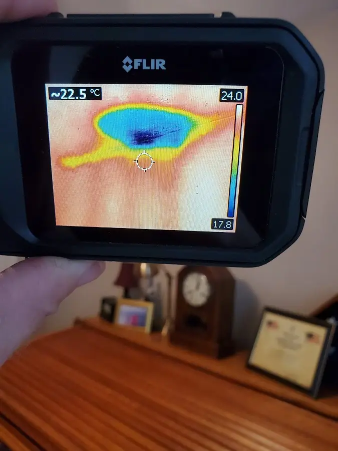 Thermal imaging inspection for water damage in Braintree Town