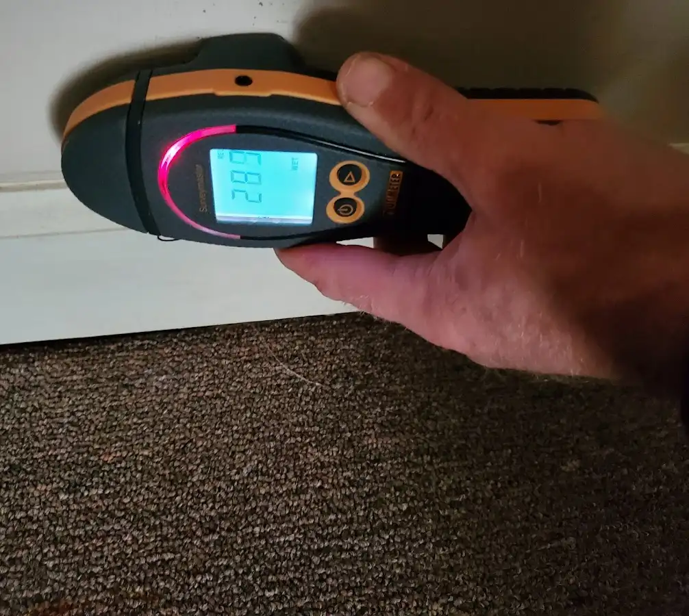 Moisture detection at baseboard during Sewage Cleanup & Sanitation in Braintree Town